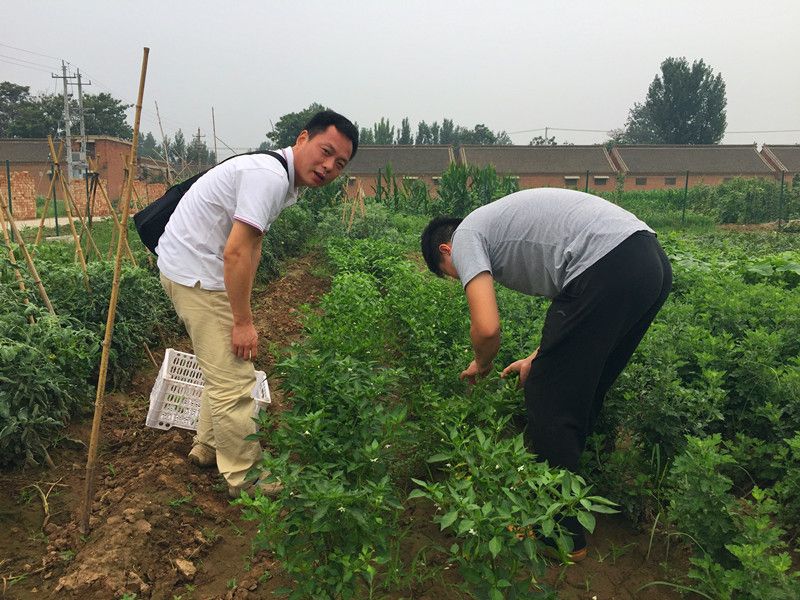 好利來郭總喊您來摘菜啦！綠色無公害，放心！